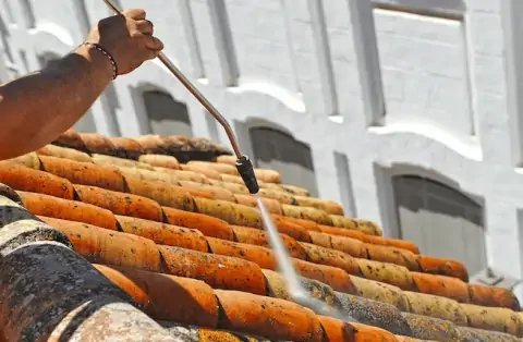 Nettoyage de toitures - Luppy